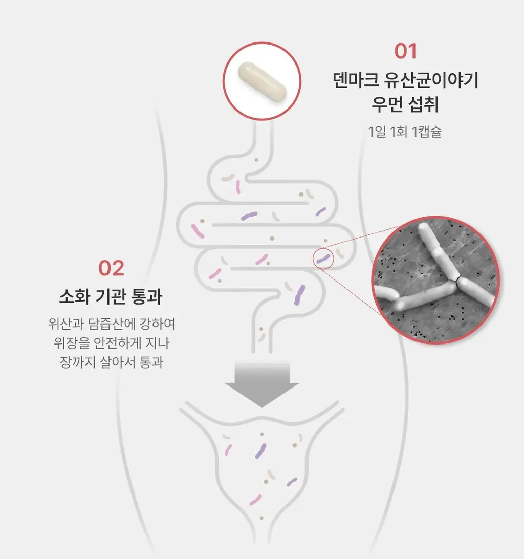 [덴프스X카카오프렌즈] 덴마크 유산균이야기 우먼 2개월분(질유산균) + 키링 증정 상세페이지 18